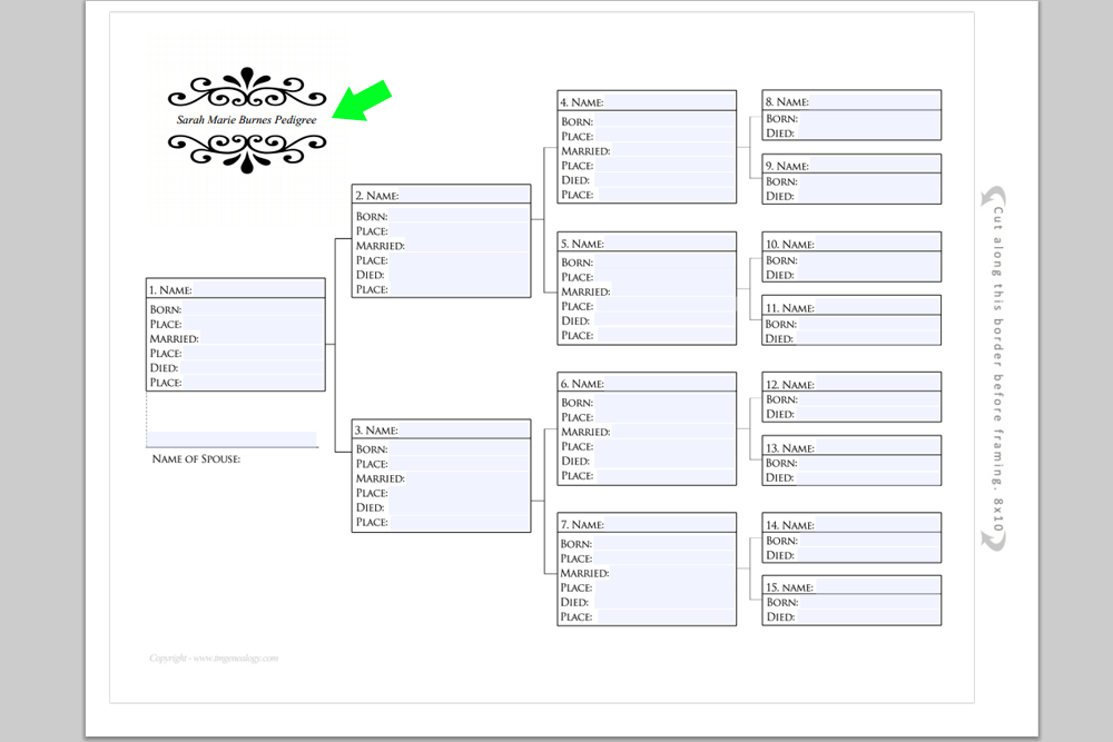 Pedigree Chart Worksheets Pedigree Chart Worksheets